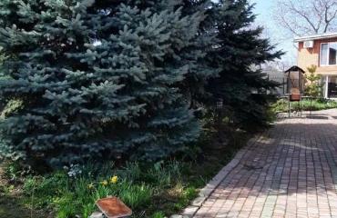 Фото Дом, аренда. Полтава Киевский