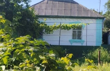 Photo House, for sale. Stavyshche