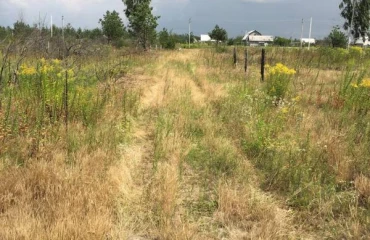 Фото Ділянка, продаж. Загальці
