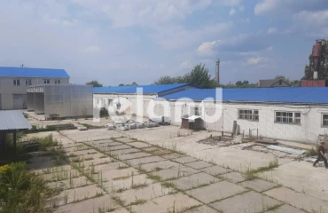 Photo Business, to rent. Boiarka