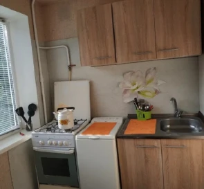 Foto 4. Monoambiente piso, para alquilar. Kyiv Днепровский район, Darnytsia