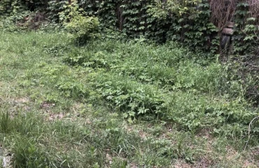 Photo Lot, for sale. Zhytomyr Передмістя
