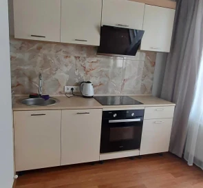 Photo 3. One-Room flat, to rent. Kyiv Дарницкий