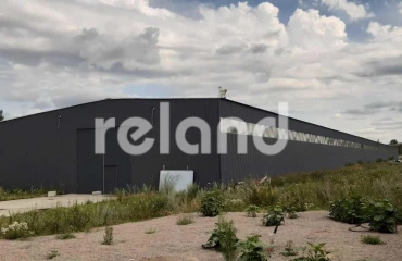 Photo Business, to rent. Zazymia