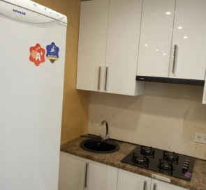 Photo 4. One-Room flat, to rent. Poltava Шевченковский (Октябрьский)