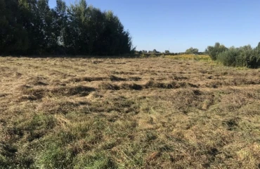 Фото Ділянка, продаж. Пухівка