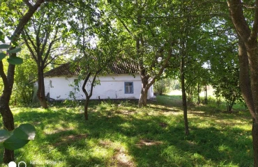 Photo House, for sale. Mala Starytsia