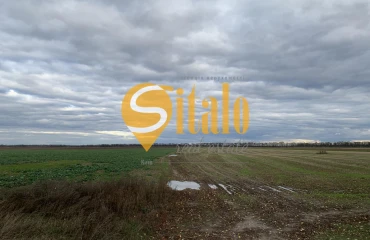 Фото Ділянка, продаж. Петропавлівське