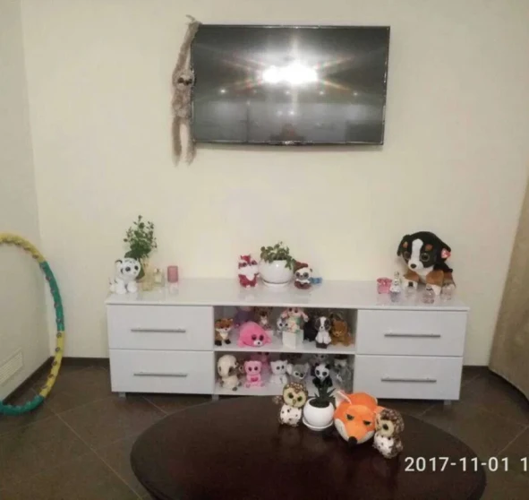 Photo 1. Two-Room flat, to rent. Poltava Шевченковский (Октябрьский)