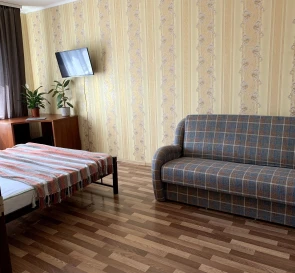 Photo 2. One-Room flat, to rent. Kyiv Дарницкий