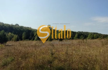 Фото Ділянка, продаж. Рославичі