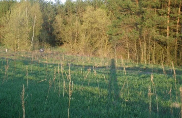 Zdjęcie Działka, na sprzedaż. Fasivochka