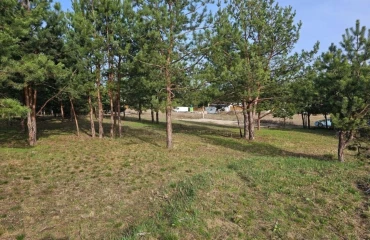 Photo Lot, for sale. Brovary
