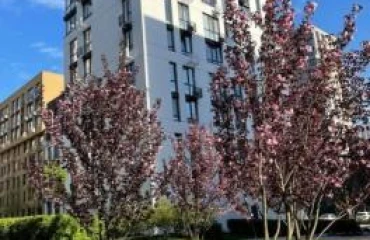 Photo Three-Room flat, for sale. Kyiv Шевченковский