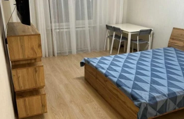 Photo One-Room flat, to rent. Kyiv Дарницкий