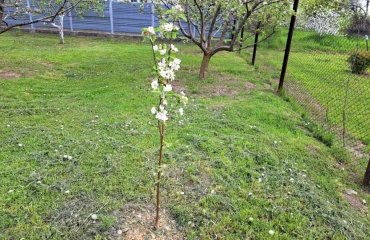 Foto Terreno, en venta. Sulymivka