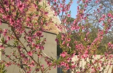 Foto Casa, en venta. Poltava Подольский