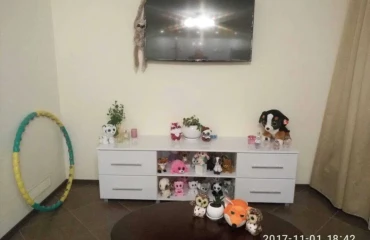 Photo Two-Room flat, to rent. Poltava Шевченковский (Октябрьский)