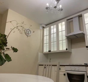 Photo 3. One-Room flat, to rent. Odesa Пересыпский (Суворовский)