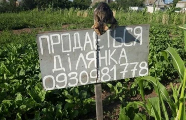 Фото Ділянка, продаж. Фастів