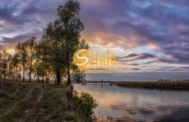 Fotografie Teren, de vânzare. Zazymia