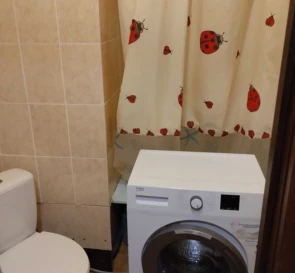 Photo 3. One-Room flat, to rent. Poltava Шевченковский (Октябрьский)