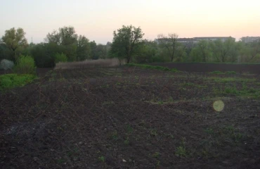 Photo Lot, for sale. Myronivka