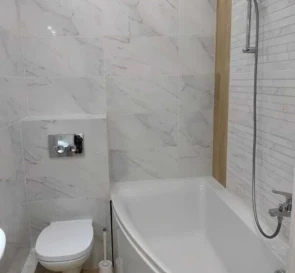 Photo 2. One-Room flat, to rent. Kyiv Днепровский район
