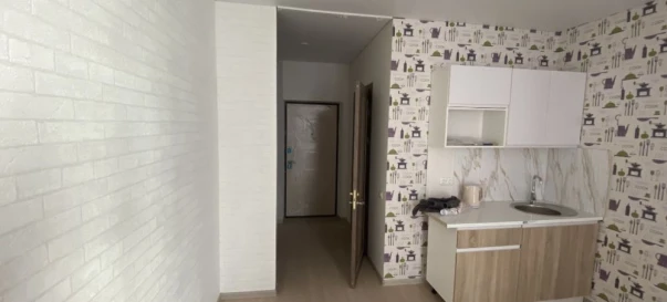 Photo 3. One-Room flat, to rent. Kyiv Дарницкий