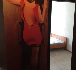 Fotografie 2. Două Camere apartament, de închiriat. Poltava Шевченковский (Октябрьский)