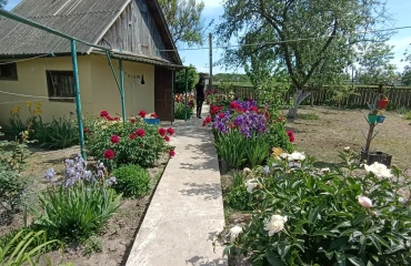 Photo Lot, for sale. Zhytomyr Гормолзавод