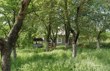 Photo Lot, for sale. Protsiv