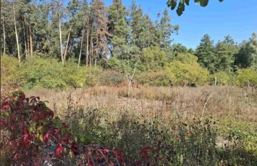 Photo Lot, for sale. Obukhiv