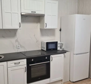 Photo 5. One-Room flat, to rent. Kyiv Дарницкий