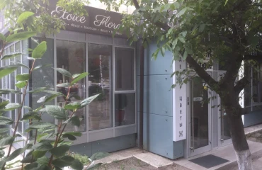 Photo Business, to rent. Kyiv Голосеевский район, Palats Ukraina
