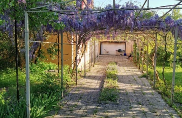 Zdjęcie Dom, na sprzedaż. Zaporizhzhia Хортицкий