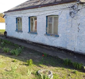 Foto 2. Casa, en venta. Kuzmyntsi