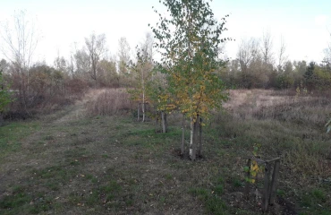 Foto Terreno, en venta. Pukhivka