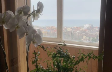 Photo Three-Room flat, to rent. Odesa Приморский