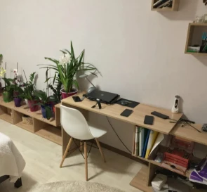 Photo 5. One-Room flat, to rent. Poltava Шевченковский (Октябрьский)
