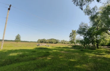 Фото Ділянка, продаж. Гвіздів