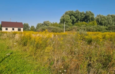 Фото Ділянка, продаж. Требухів
