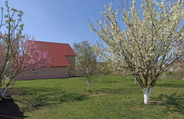 Photo House, for sale. Zhytomyr Смаковка