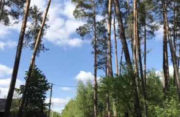 Photo Lot, for sale. Zhytomyr Передмістя