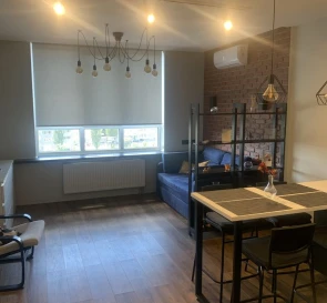 Photo 2. One-Room flat, to rent. Kyiv Дарницкий