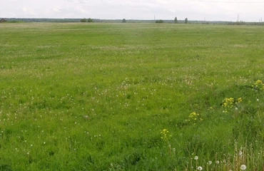 Photo Lot, for sale. Mostyshche