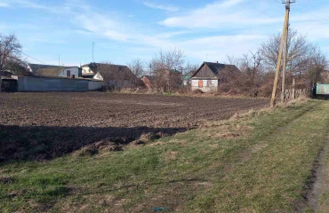 Foto Terreno, en venta. Mala Racha