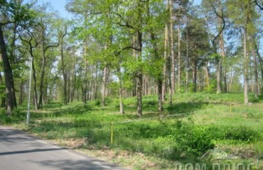 Фото Ділянка, продаж. Ірпінь