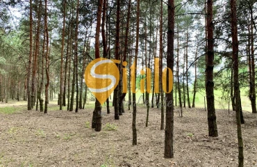 Photo Lot, for sale. Protsiv