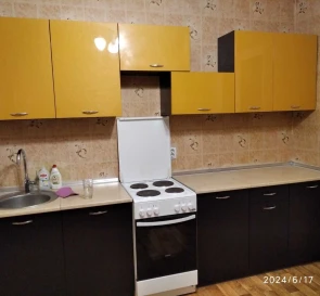 Photo 5. One-Room flat, to rent. Kyiv Дарницкий